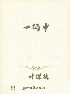 一码中